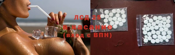 ГАЛЛЮЦИНОГЕННЫЕ ГРИБЫ Заводоуковск